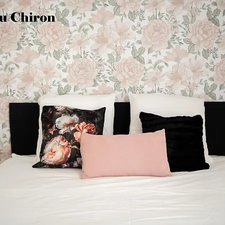 度假居 Maison De La Rochejaquelein *