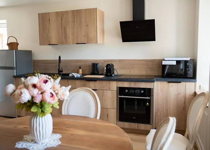 Maison De La Rochejaquelein * 塞夫勒河畔圣洛朗