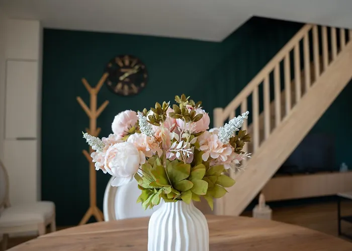 Maison De La Rochejaquelein 塞夫勒河畔圣洛朗