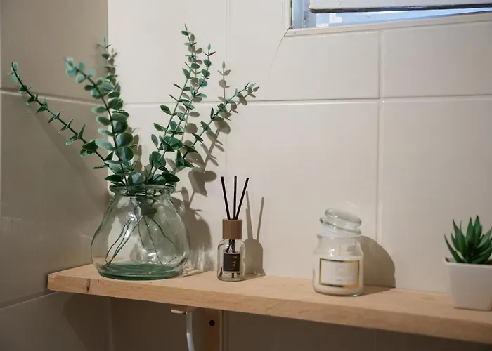 Maison De La Rochejaquelein * 塞夫勒河畔圣洛朗