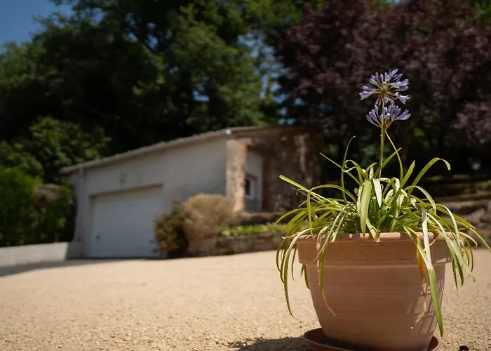 度假居 Maison De La Rochejaquelein 塞夫勒河畔圣洛朗