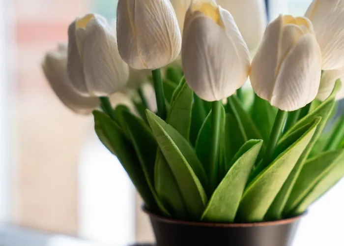 Vakantiehuis Maison De La Rochejaquelein